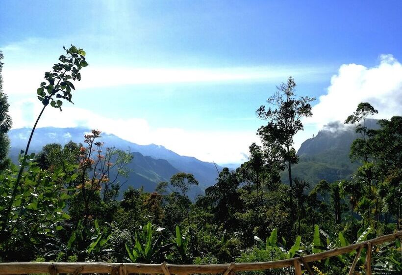 פנסיון Glen Rock Ella