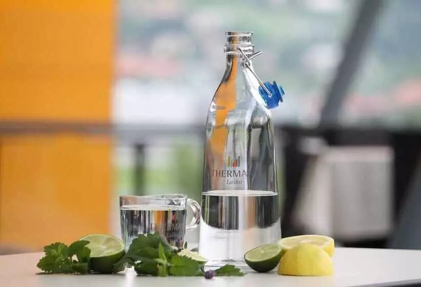 پانسیون Villa Home & Garden Lasko