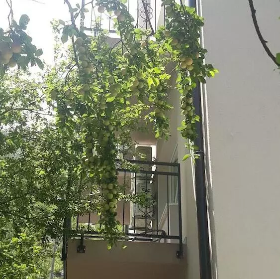 پانسیون Villa Odobasic Rooms