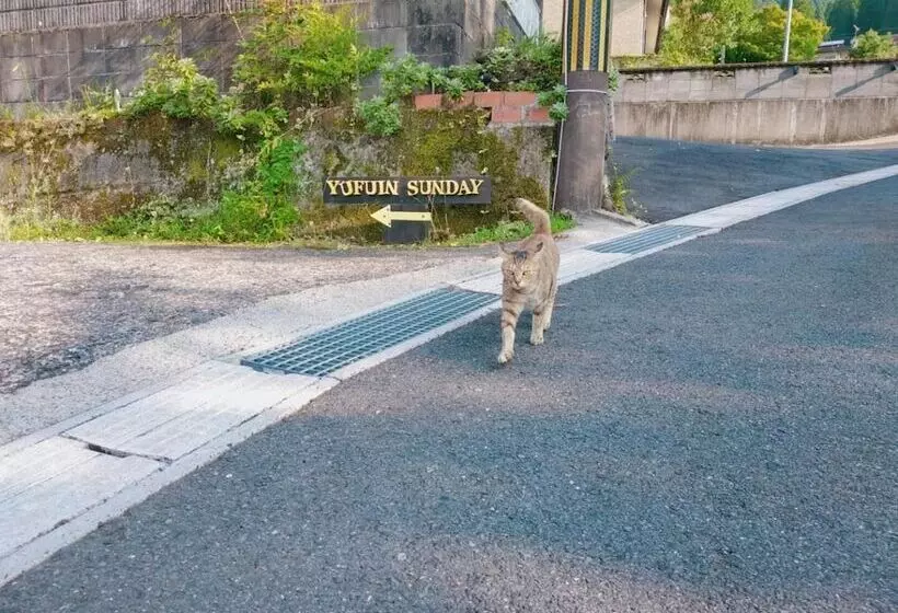 Pensione Yufuin Sunday
