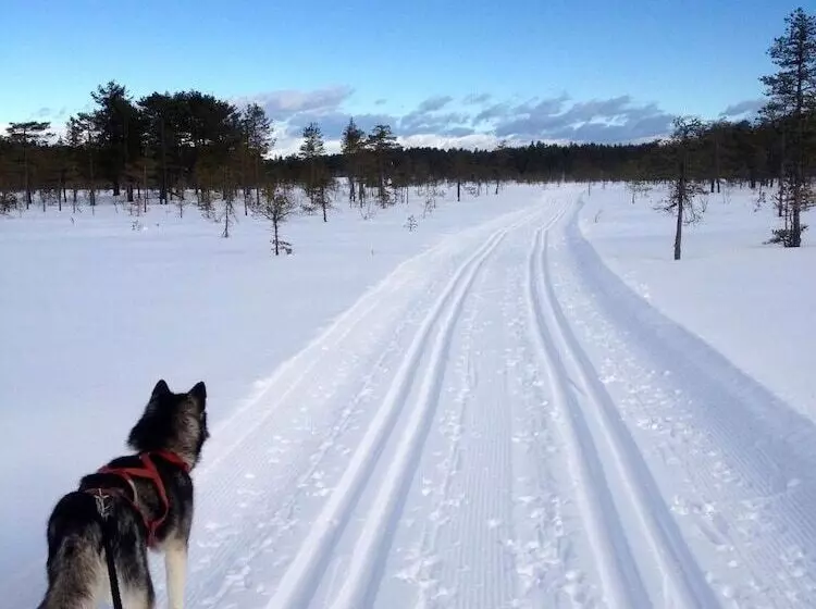 Finnskogen Turistsenter