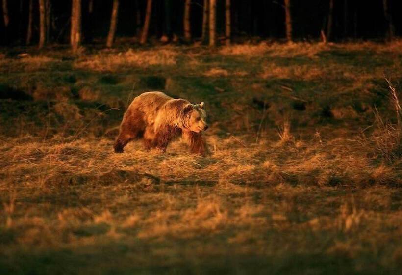 Finnskogen Turistsenter