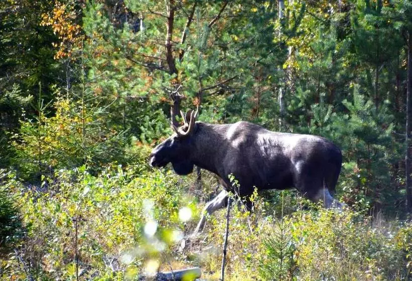 Finnskogen Turistsenter