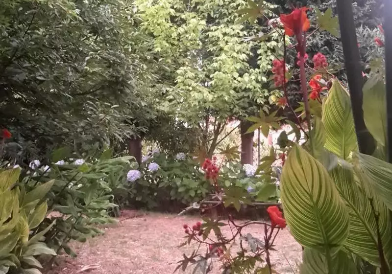 پانسیون Casa Das Três Aguias