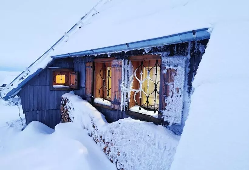 پانسیون Koca Ojstrica   Velika Planina