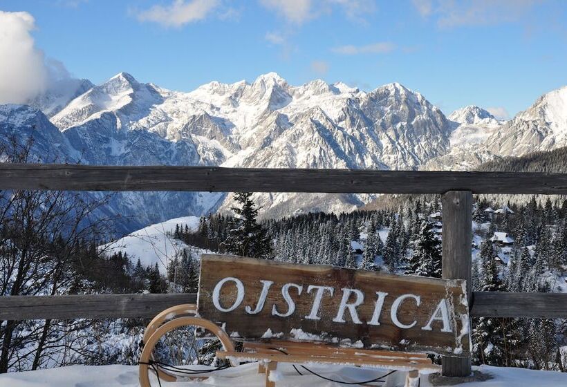 پانسیون Koca Ojstrica Velika Planina