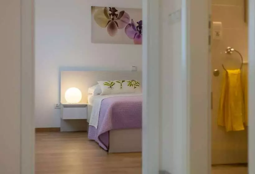 Olive Tree Apartments