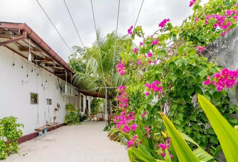 هتل Casa Paguro Bodufolhudhoo