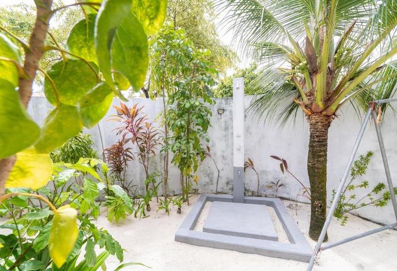 هتل Casa Paguro Bodufolhudhoo