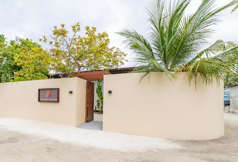 هتل Casa Paguro Bodufolhudhoo