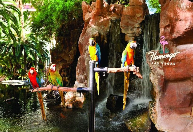 Flamingo Las Vegas Hotel & Casino