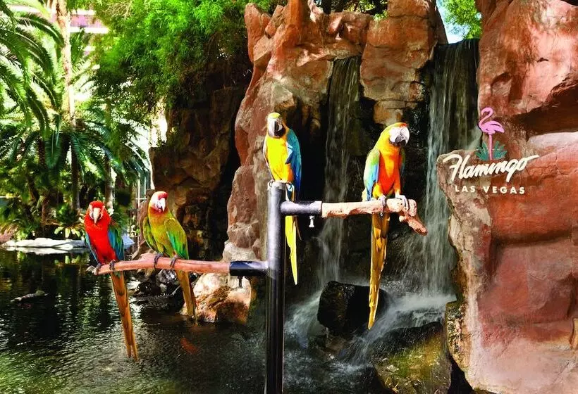 Flamingo Las Vegas Hotel & Casino