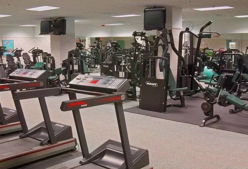 Flamingo Las Vegas Hotel & Casino