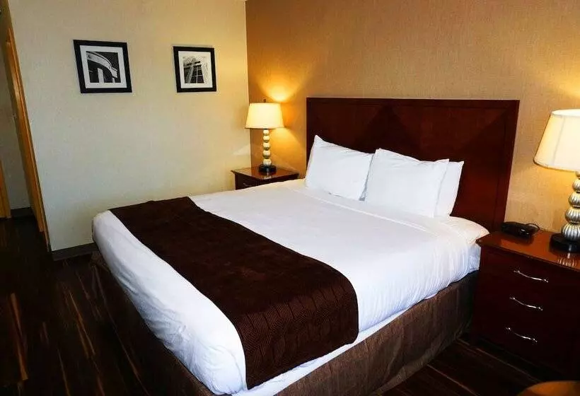 فندق Floral Park Motor Lodge