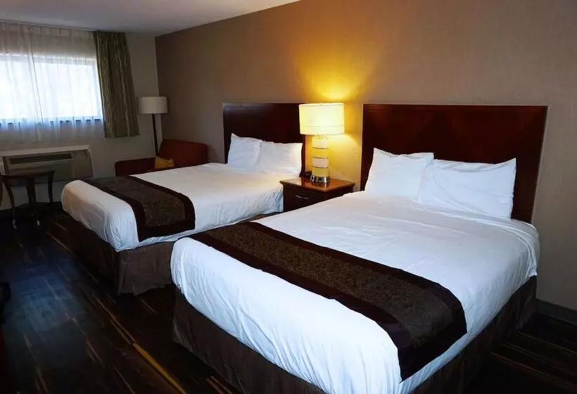 فندق Floral Park Motor Lodge