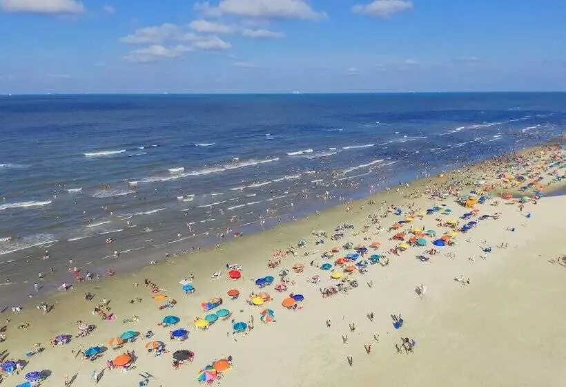 ホテル Gaido S Seaside Inn