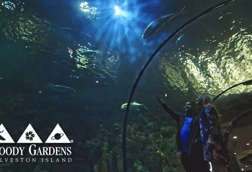 ホテル Gaido S Seaside Inn