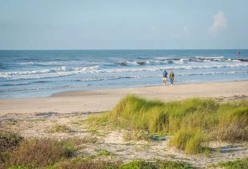 ホテル Gaido S Seaside Inn
