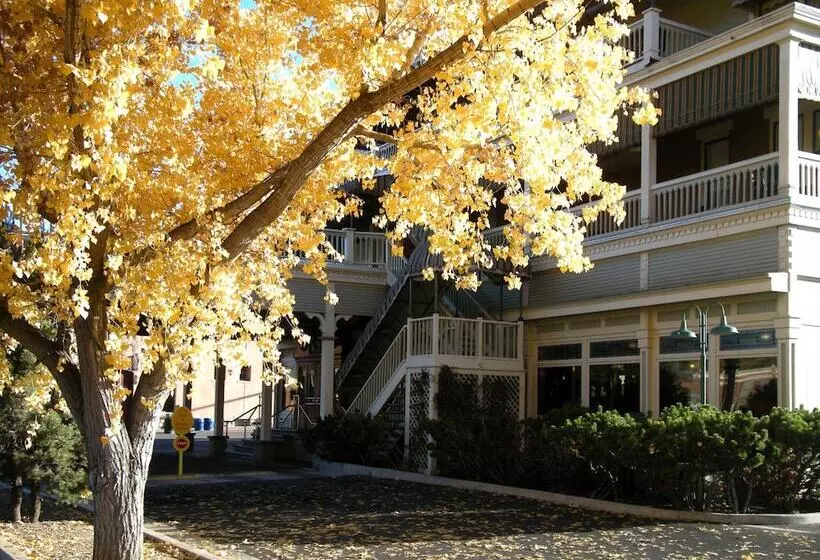 בית מלון כפרי General Palmer