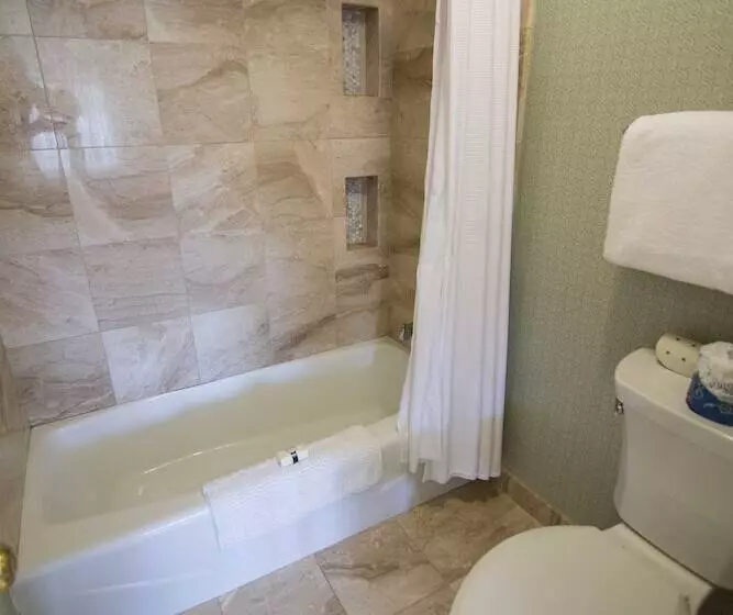 בית מלון כפרי General Palmer