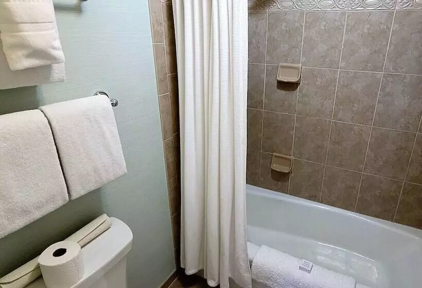 בית מלון כפרי General Palmer