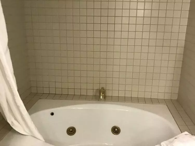 בית מלון כפרי General Palmer