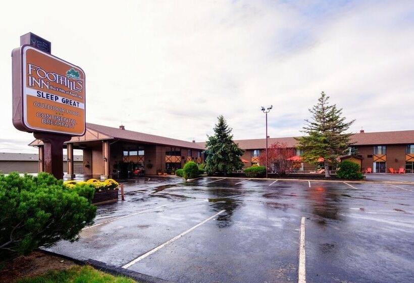 ホテル The Foothills Inn