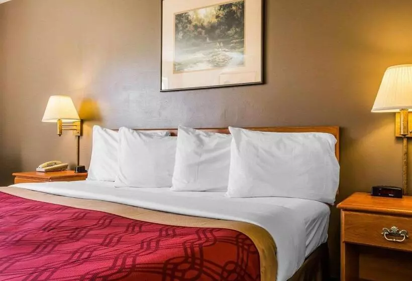 酒店 West End Lodge