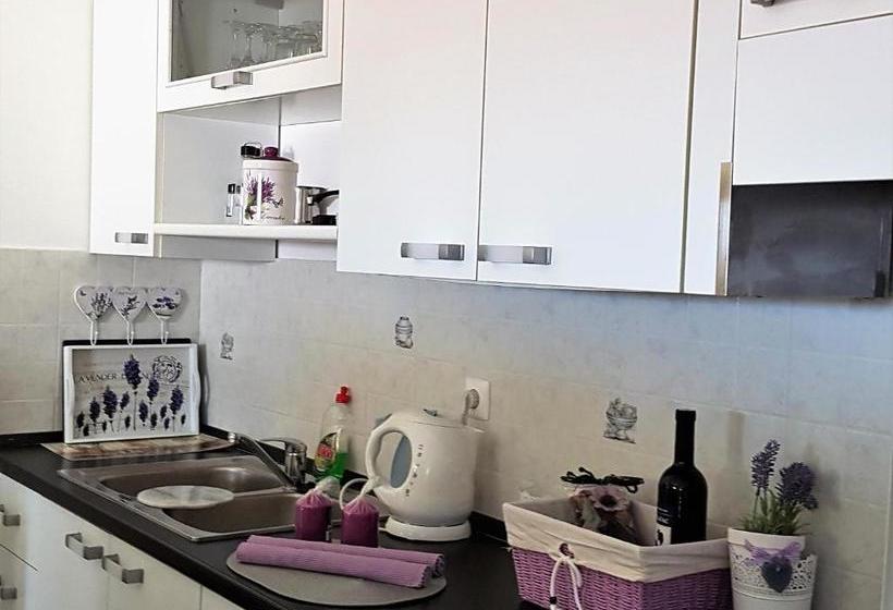 Apartments Anita Punta Skala