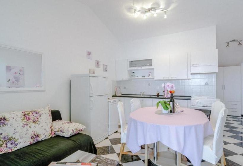 Apartments Anita Punta Skala