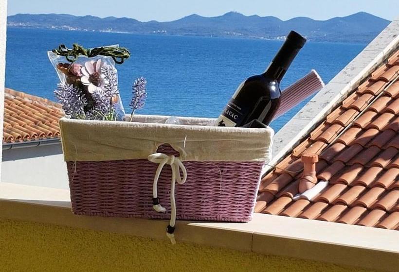 Apartments Anita Punta Skala