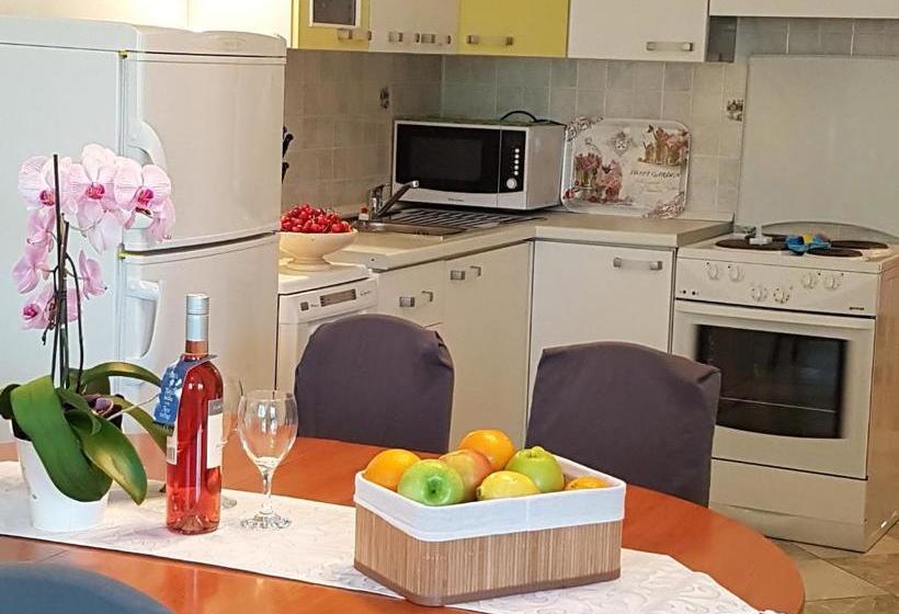 Apartments Anita Punta Skala