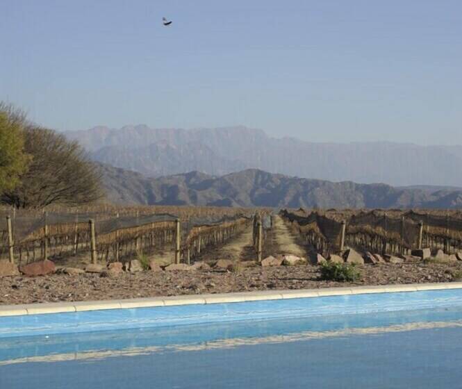 Chañarmuyo Hotel De Vino