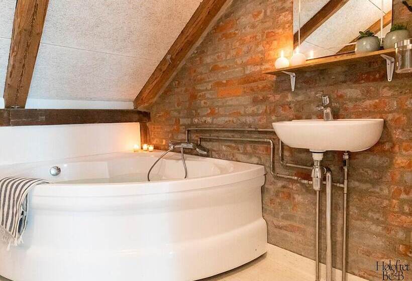 בית מלון כפרי Høloftet Bb