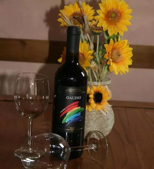田舎風ホテル Antico Casolare