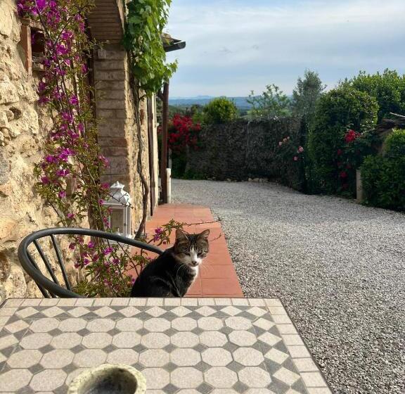 田舎風ホテル Antico Casolare