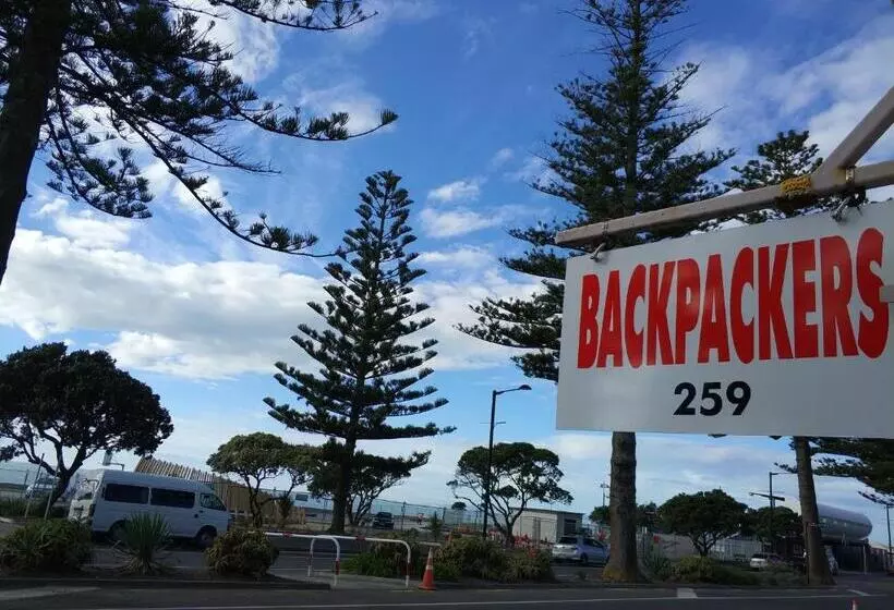 Retkeilymaja Napier Art House Backpackers