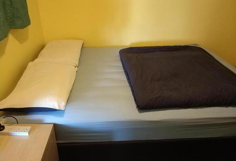 Общежитие Napier Art House Backpackers