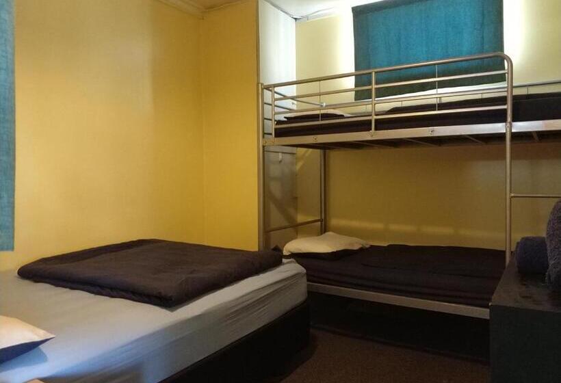 Общежитие Napier Art House Backpackers