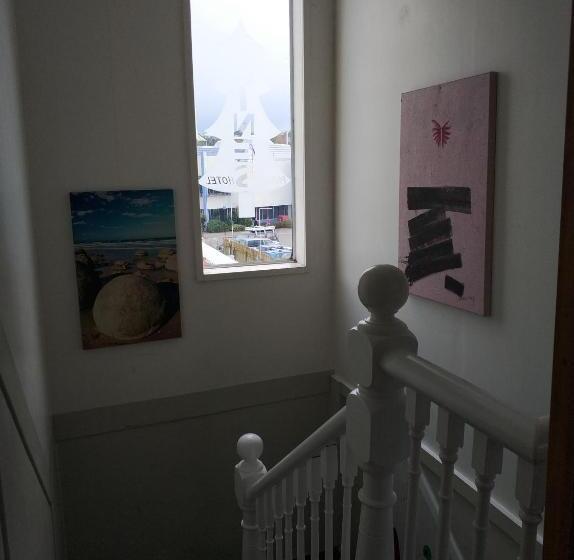 Общежитие Napier Art House Backpackers