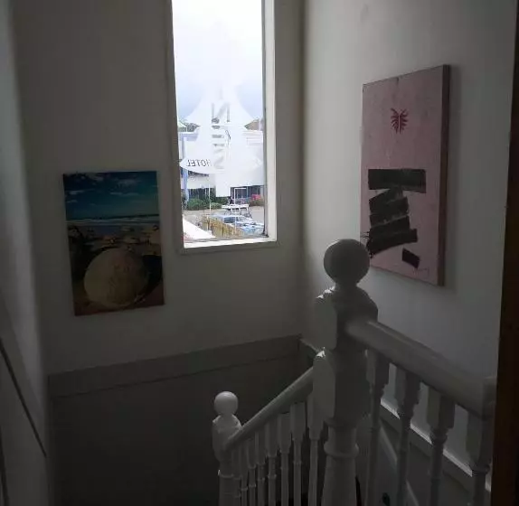 Retkeilymaja Napier Art House Backpackers