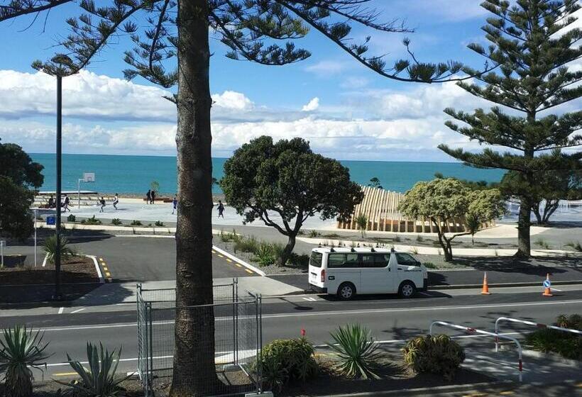 Общежитие Napier Art House Backpackers