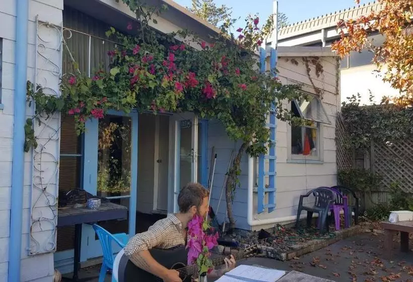 Retkeilymaja Napier Art House Backpackers