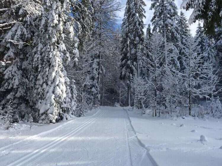 Отель Hôtel Lapiaz & Spa   Flaine