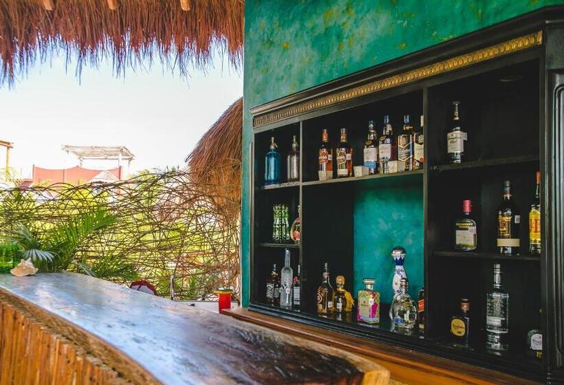 فندق La Puerta Azul Beachfront  Adults Only