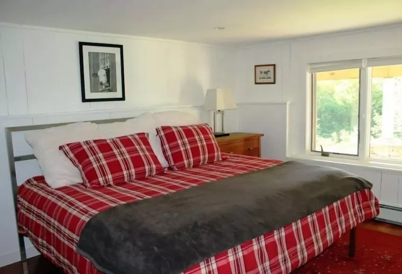 Mid_modern 4 Br