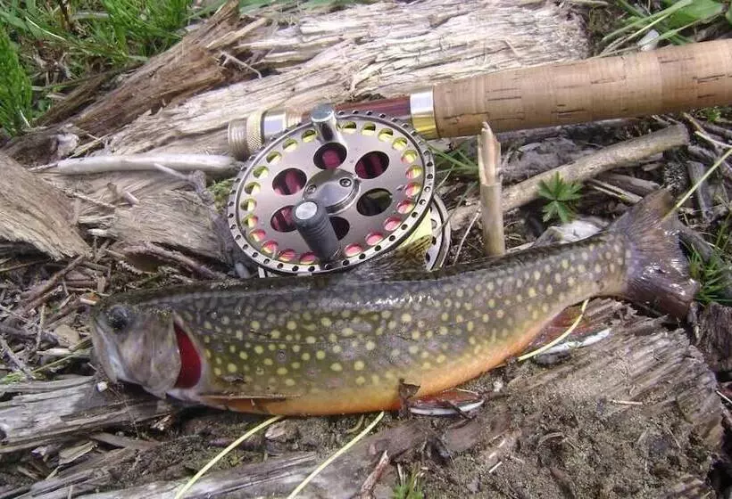 Majatalo Gasthof Tetter