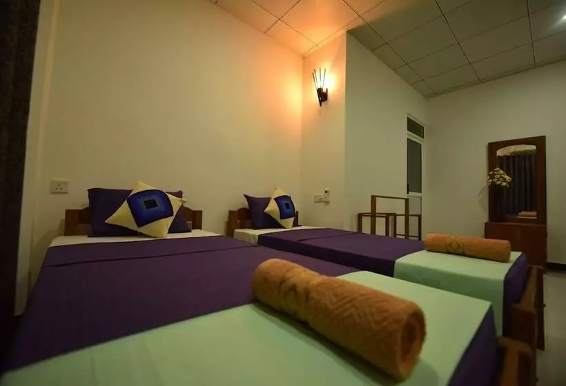 Aamiaismajoitus (B&B) The Summer Resort