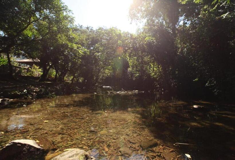 Pension Pousada Das Orquideas20