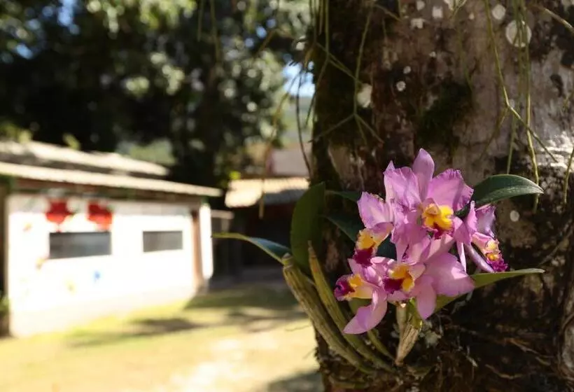 Majatalo Pousada Das Orquideas20